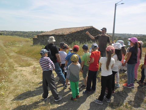 Museu Vicente Guerreiro