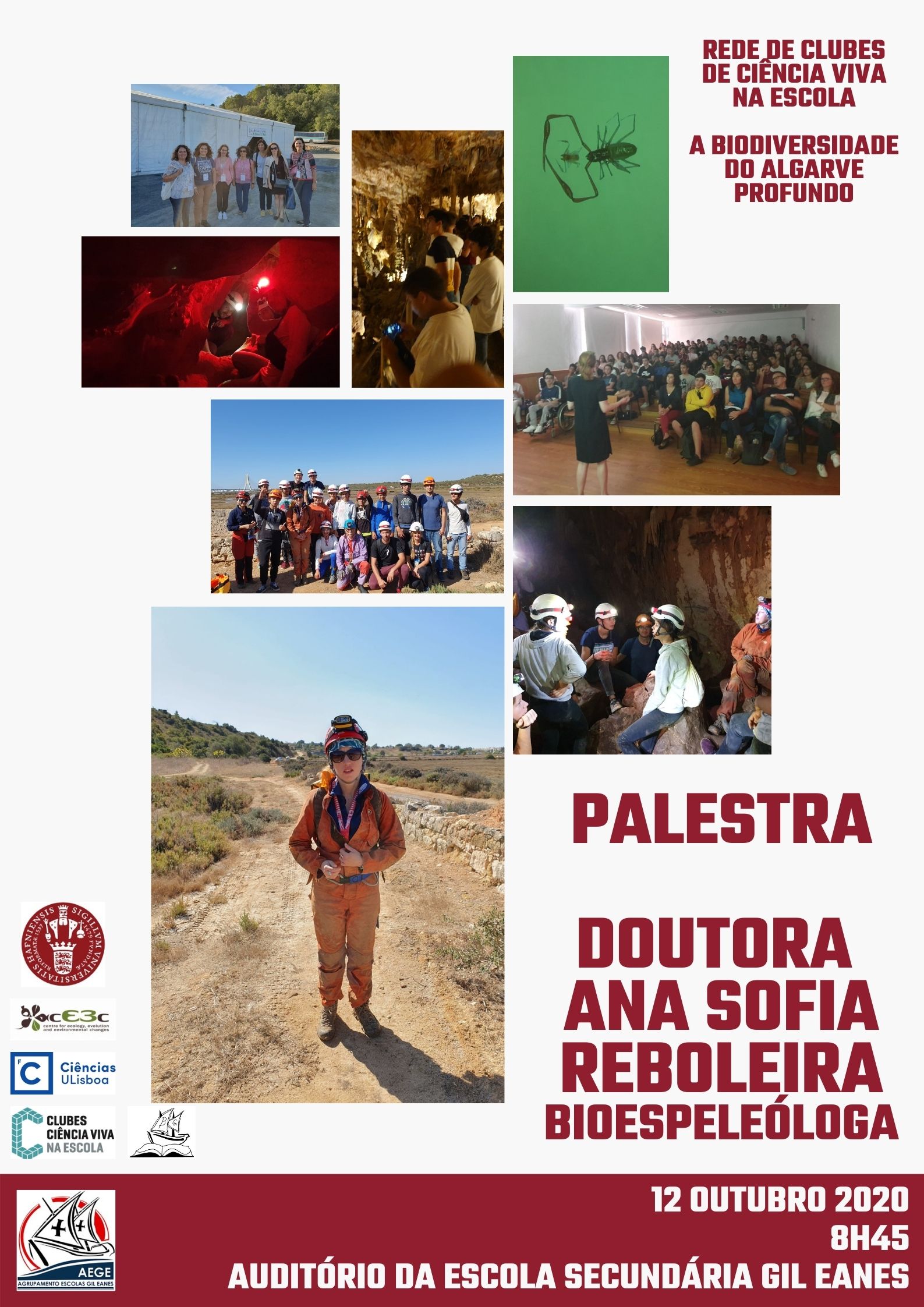 Palestra Sofia Reboleira